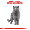 Picture of royal canin british shorthair Feline Breed Nutrition 