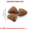 Picture of royal canin indoor 27 shorthair | Dry Food 2 KG-4 KG-10 KG