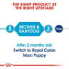 Picture of ROYAL CANIN Size Health Nutrition Maxi Starter Mother & Baby dog