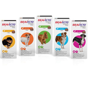 Picture of Bravecto Chews for Dogs 4.5-10 KG