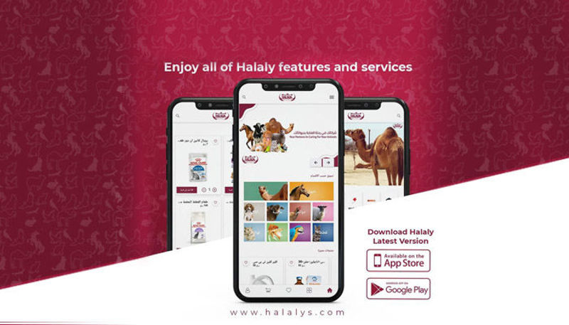 Halaly app, the app that makes the things you must have in the app.