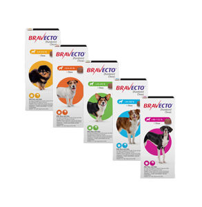 Picture of **Bravecto Chews for Dogs 4.5-10 KG
