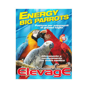 Picture of ELEVAGE BIG PARROT