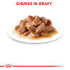 Picture of royal canin digestive care | Digest sensitive gravy