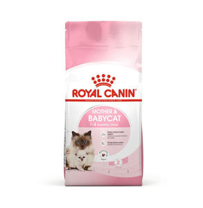 Halaly All You Need buy ROYAL CANIN Feline Health Nutrition Mother and Babycat the best Price in Qatar and Doha