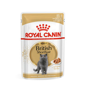 صورة رويال كانين تغذية القطط قصيرة الشعر البريطاني