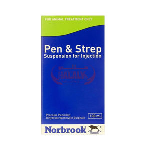 Picture of PEN STREP 100ML