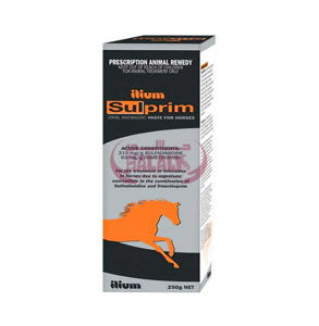 Picture of SULPRIM PASTE 250G