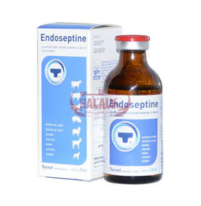 Picture of ENDOSEPTINE 50ML 