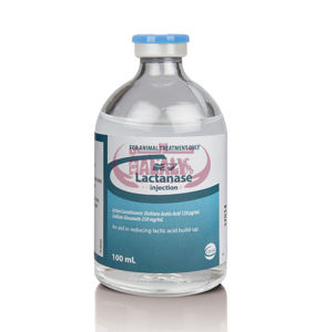 Picture of LACTANASE 100 INJ(CEVA)