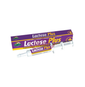 Picture of Lactase plus 30ML paste