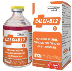 Picture of CALCI+B12 - 100ML