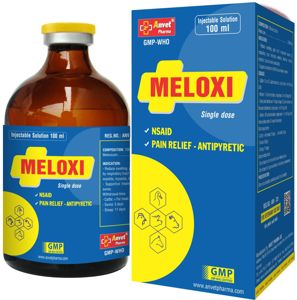 Picture of MELOXI - 100ML