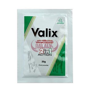 Picture of VALIX 20G/SACHET