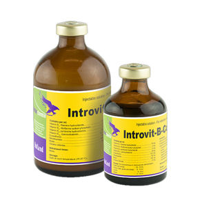 Picture of introvit b complex 100ml