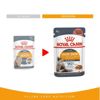 Picture of Feline Care Nutrition Hair and Skin Gravy (INTENSE BEAUTY) (WET FOOD - Pouches) 12x85g