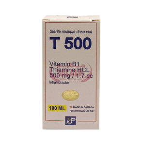 Picture of T 500 100 ml inj