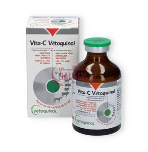 Picture of Vita-c 50ML INJ