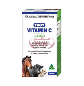 Picture of VITAMIN C 100 ML (TROY)