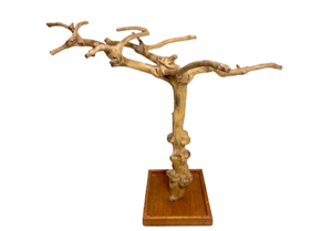 Picture of Java Wood Bird Tree - Small