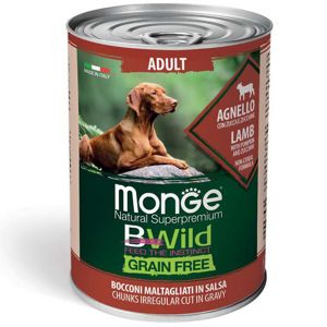 Picture of Monge Natural Super Premium Bwild Grain Free Formula All Breeds Adult Dog Irregular Cut Chunkies in Gravy Salmon with Pumpkin and Zucchini 400 g