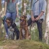 Picture of Premium Adjustable Lead (L-XL) - Trixie