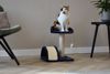 Picture of CAT TREE 36X36X44CM