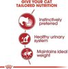 Picture of INSTINCTIVE ADULT CATS GRAVY WET FOOD POUCHES 85G