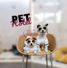 Picture of PET HOTEL-Dogs